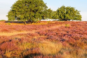 Unclassified image, 4 of 24, button - Perfect Group Getaway | Near Huizen Harbor, Goois Nature Reserve | 4 Units (Huizen)