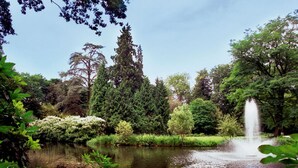 A serene pond with a fountain, surrounded by lush greenery and trees. - Peaceful Retreat with Nature Walks and Local Exploration Near Historic Palaces (Eerbeek)