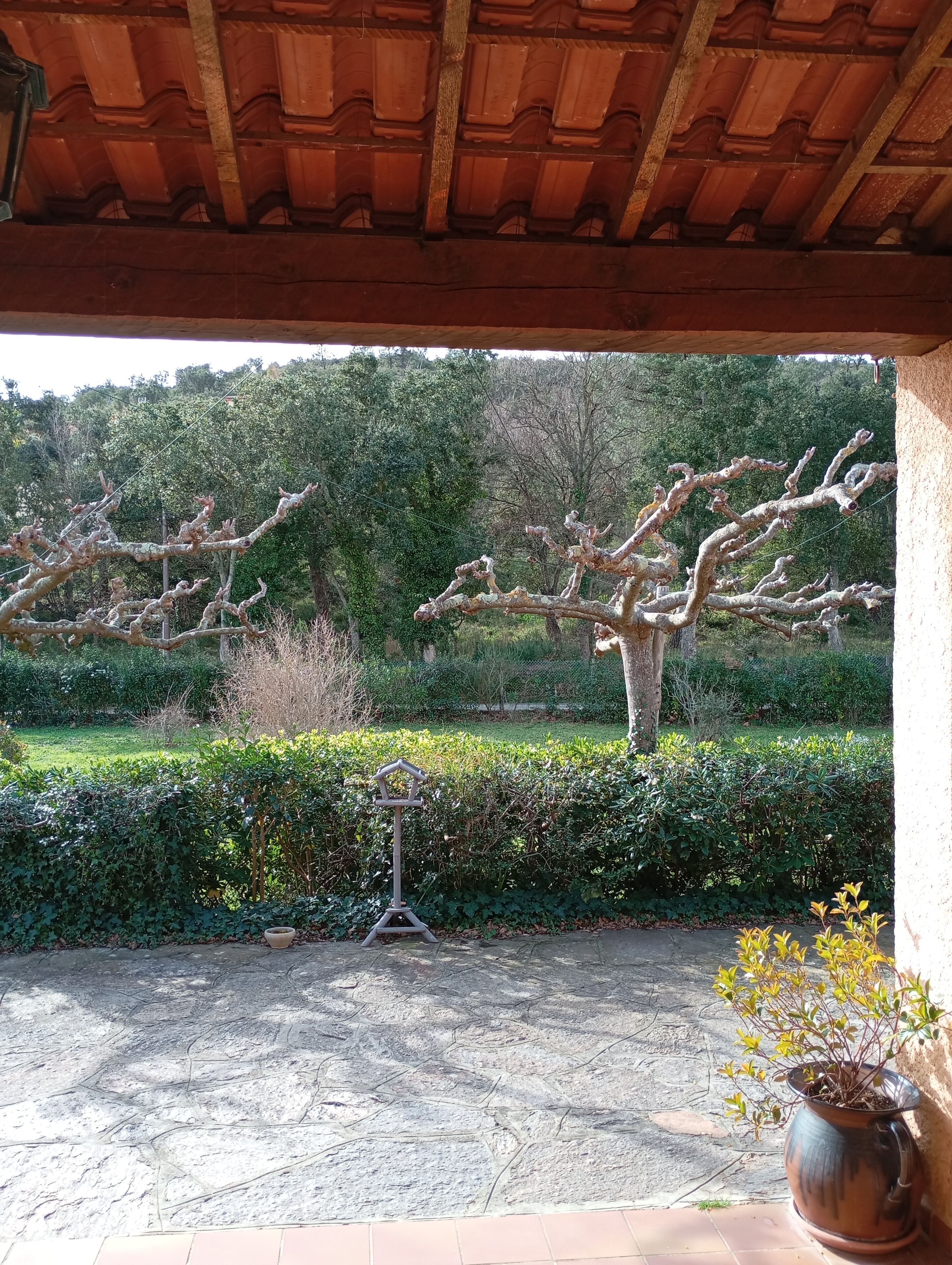 Enceinte de l’hébergement