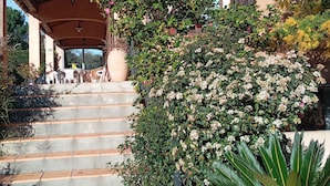 A building with a covered patio, steps leading to a door, and various plants. - Provencal House (Bormes les mimosas)