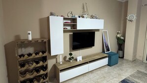 A living room with a flat-screen TV, a wine rack, and a small potted plant.