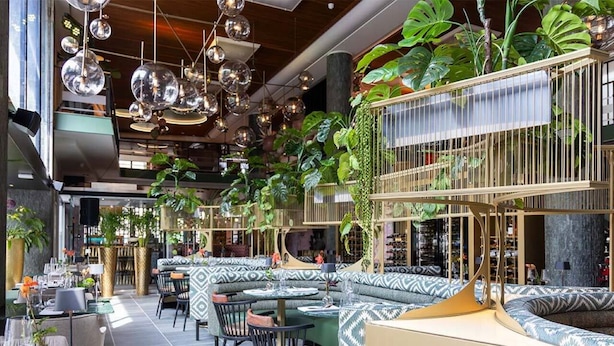 Un restaurante con asientos escalonados, lámparas esféricas colgantes y abundante vegetación de interior.