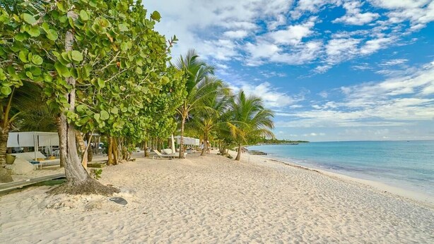 Unclassified image, 1 of 41, button - Luxury Beachfront 2BR Retreat | AquaEsmeralda (Dominicus)