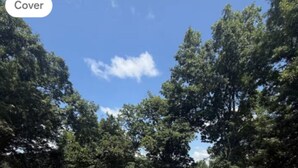 Una piscina rettangolare con bordo in legno, circondata da un recinto bianco e alberi.
