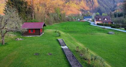 Gemütliche sonnige Wohnung mit 2 Balkonen.