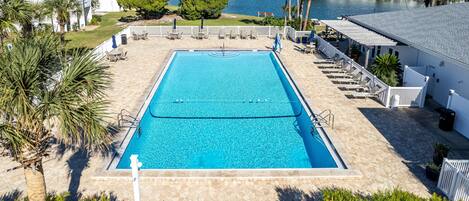 A rectangular swimming pool with a tiled deck, surrounded by palm trees and a view of a body of water.