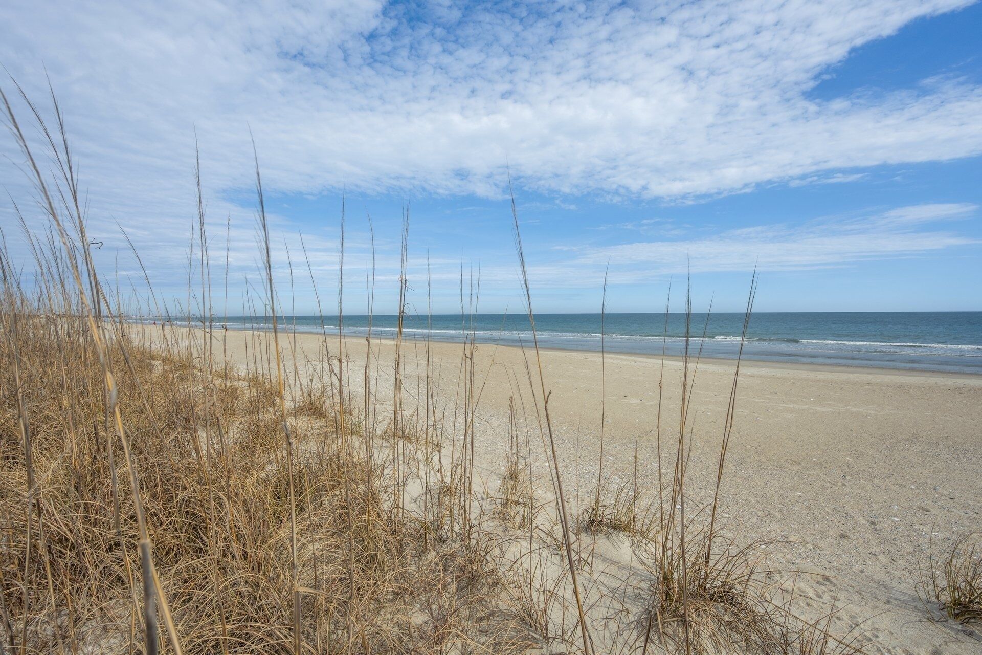 Une plage avec de l’herbe sèche au premier plan et un ciel dégagé.