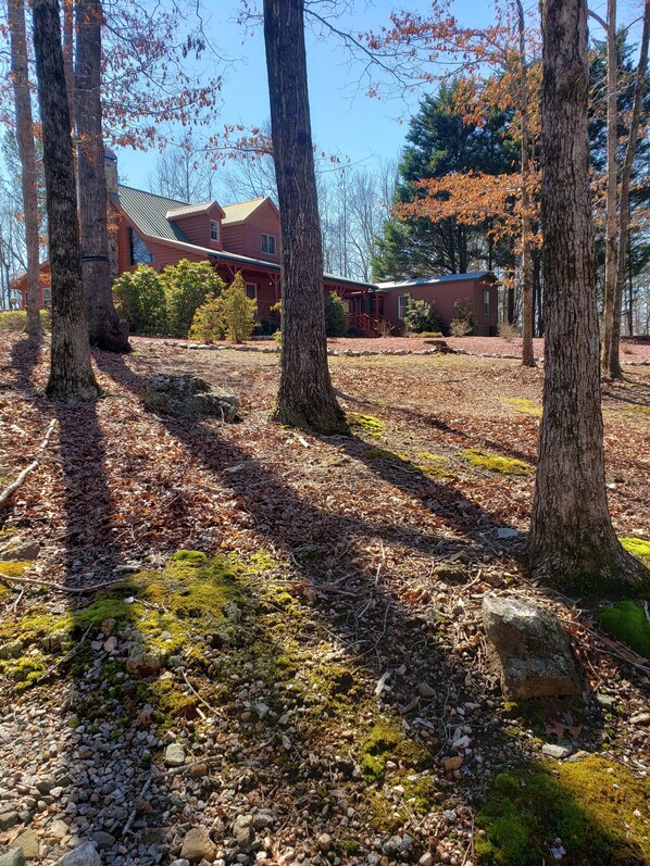 A forested area with a red building, possibly a lodge or cabin, surrounded by trees and a ground covered with leaves and rocks. - Paradise Caravan 3/2 in Heart of wine country 20 min drive to Helen full kitchen (Cleveland)
