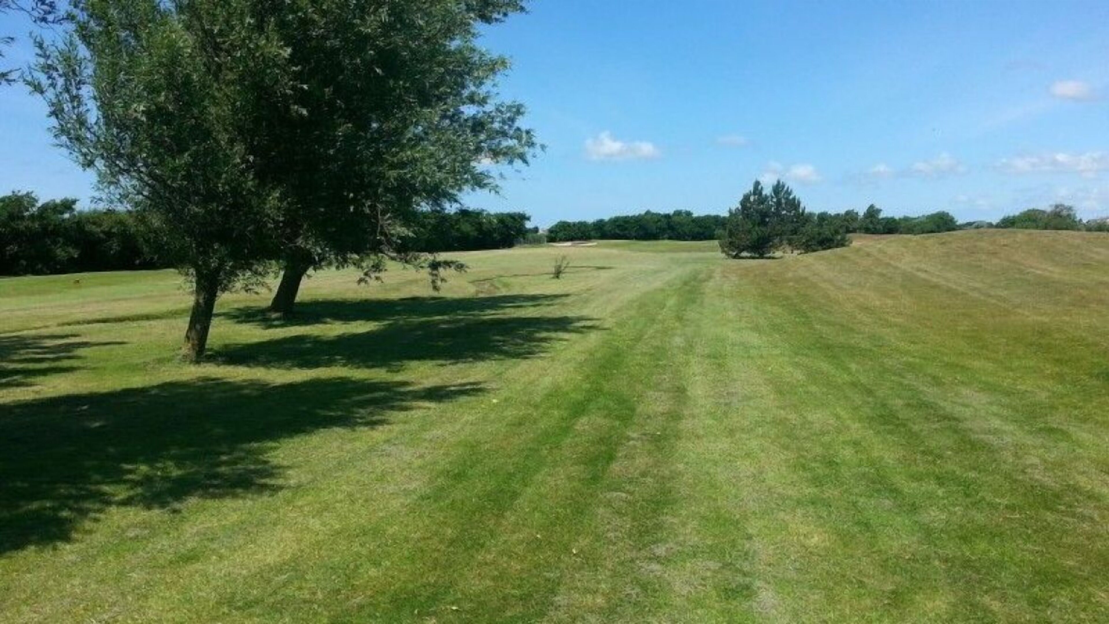 Ein grünes Feld mit einem großen Baum und einer Hügelkette im Hintergrund.