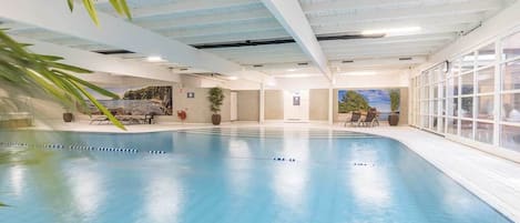 Une piscine intérieure à l’eau d’un bleu cristallin, entourée d’un sol et de murs carrelés. Des chaises longues et des plantes en pot décorent l’espace autour de la piscine.