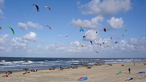Una platja amb nombroses mongetes volant al cel.