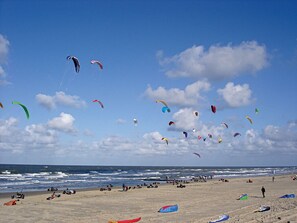Beach - Endless Fun in North Sea | 2 Hidden Gem, Steps Away from Beach, Golf & Top Spots (Callantsoog)