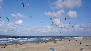 Una playa con numerosos cometas volando en el cielo.