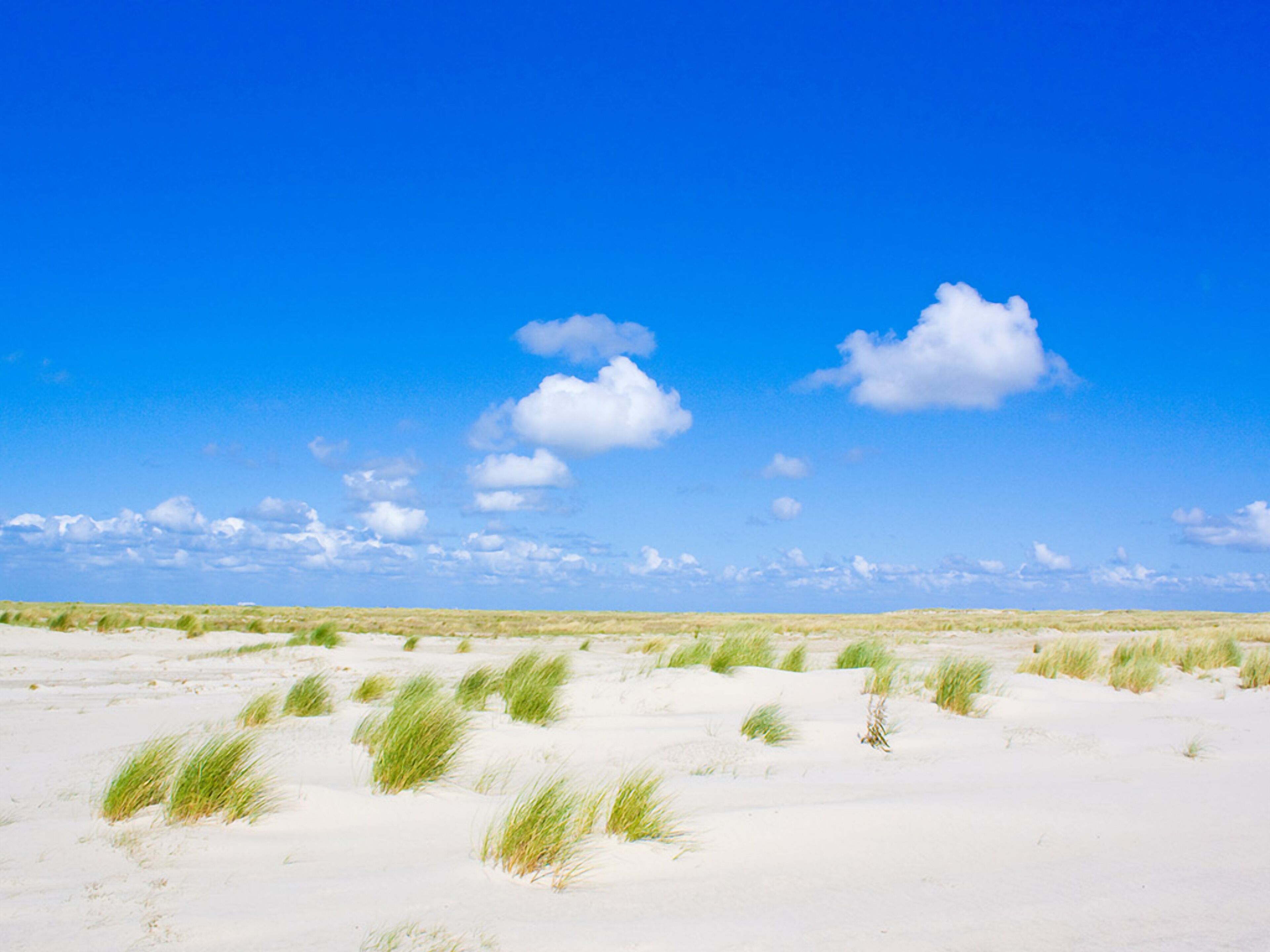 Un paisaje extenso y llano con dunas de arena blanca y vegetación verde escasa bajo un cielo azul despejado.