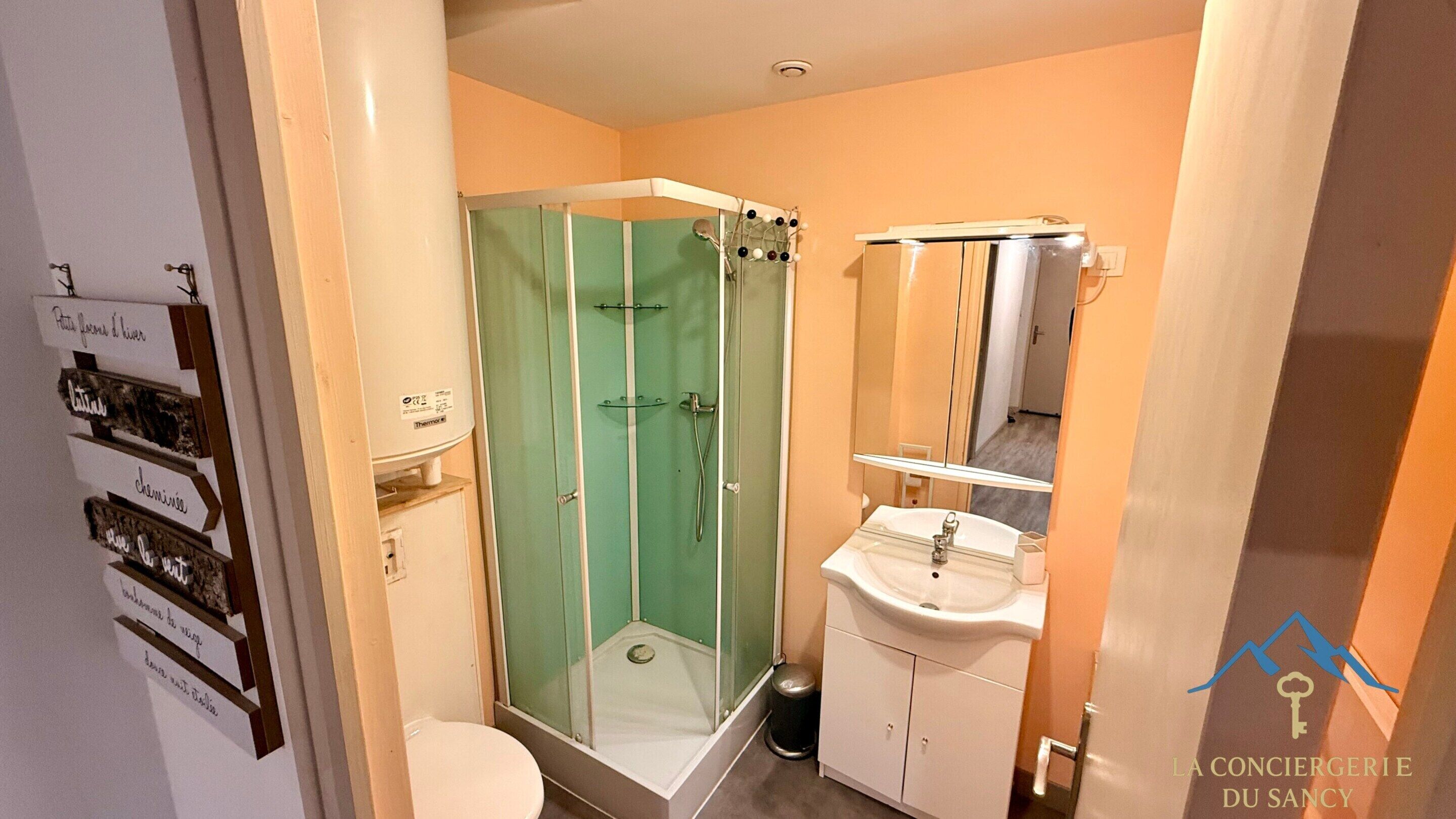 A bathroom with a glass-enclosed shower, a white sink, and a mirror above the sink.