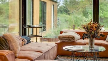 Smart TV, books, stereo