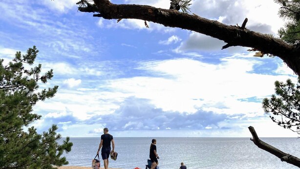 Una playa con cielo despejado, orilla arenosa y algunas personas caminando.