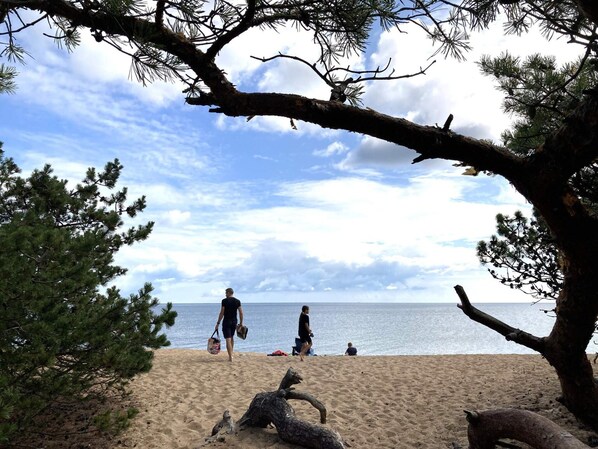 House | Exterior - 4 Star Holiday Home in Borrby (Borrby)