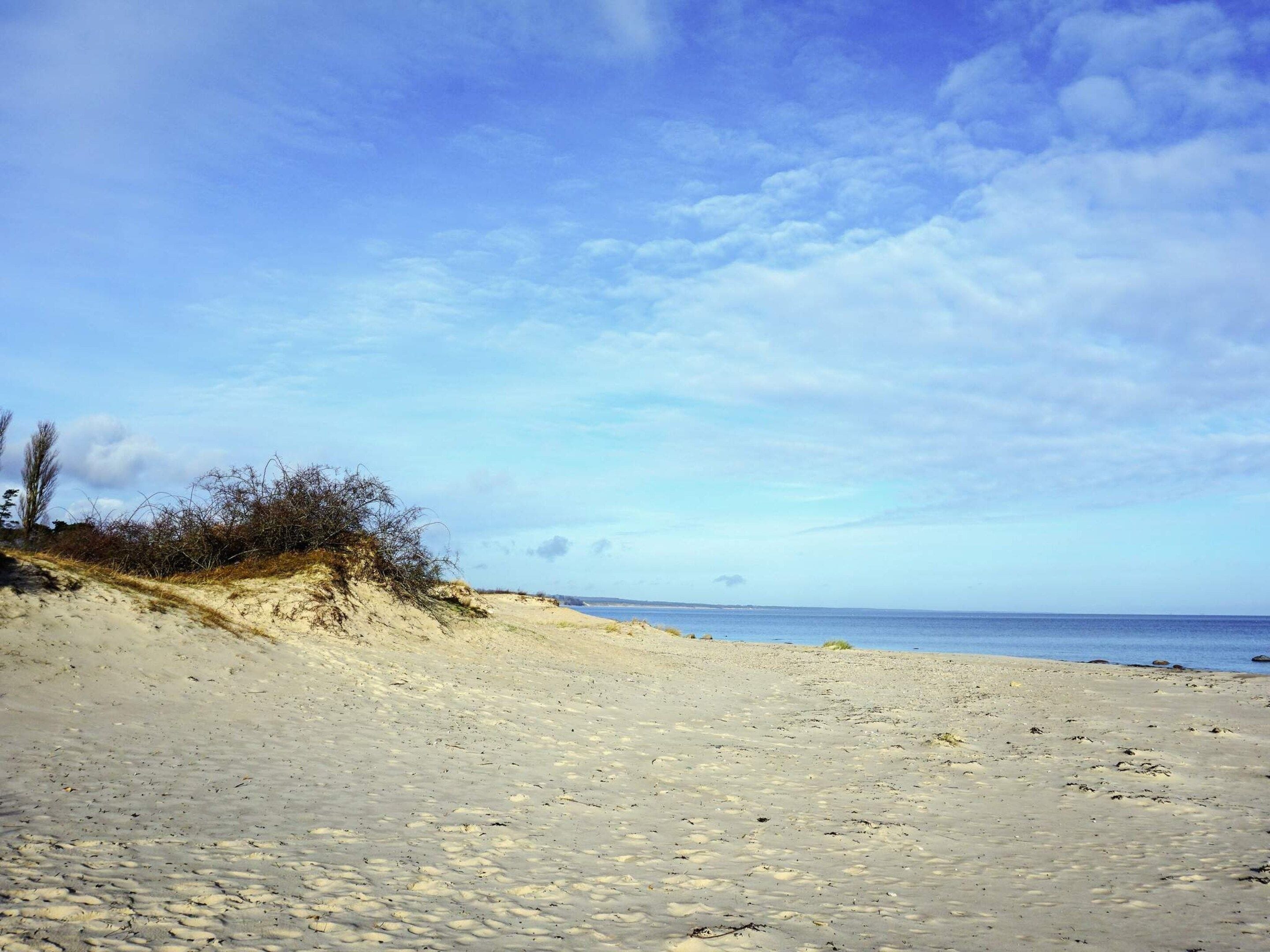 Una playa con dunas de arena y cielo despejado.