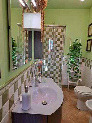 Shower, hair dryer, bidet, towels