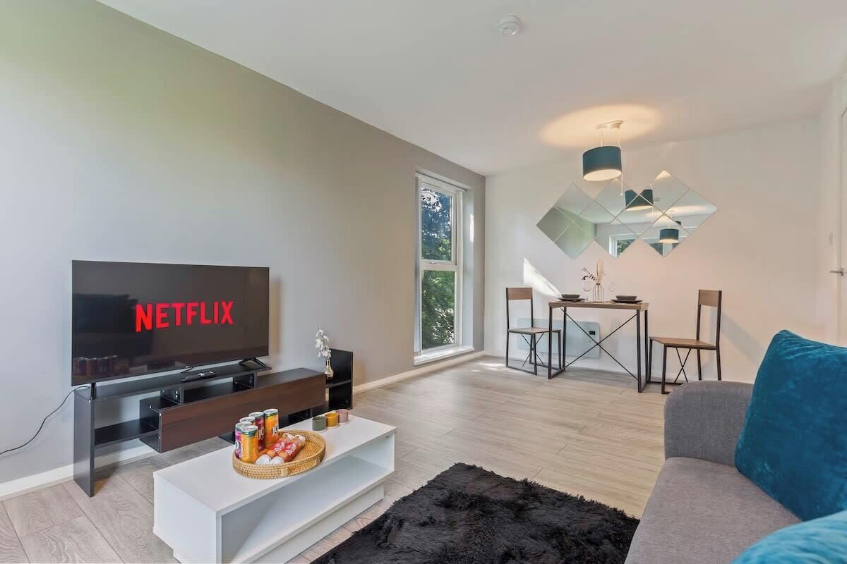 TV