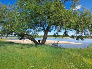 Oklassificerad bild, 3 av 11, knapp