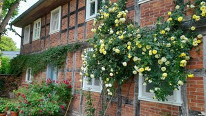 Ein traditionelles Backsteinhaus mit Garten.