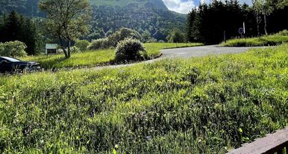 L\"ecrin D\"edern Degle Mont Dore deg Ski Degrandonnee deg