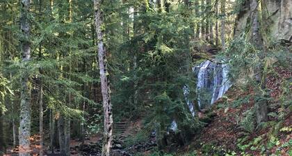 Le Buisson - 4pers Mont Dore Centre
