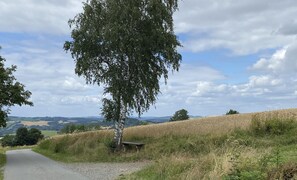 Vistas desde el alojamiento