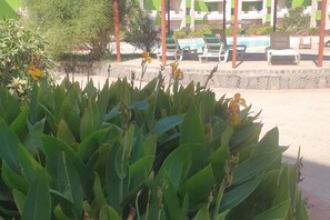 泳池