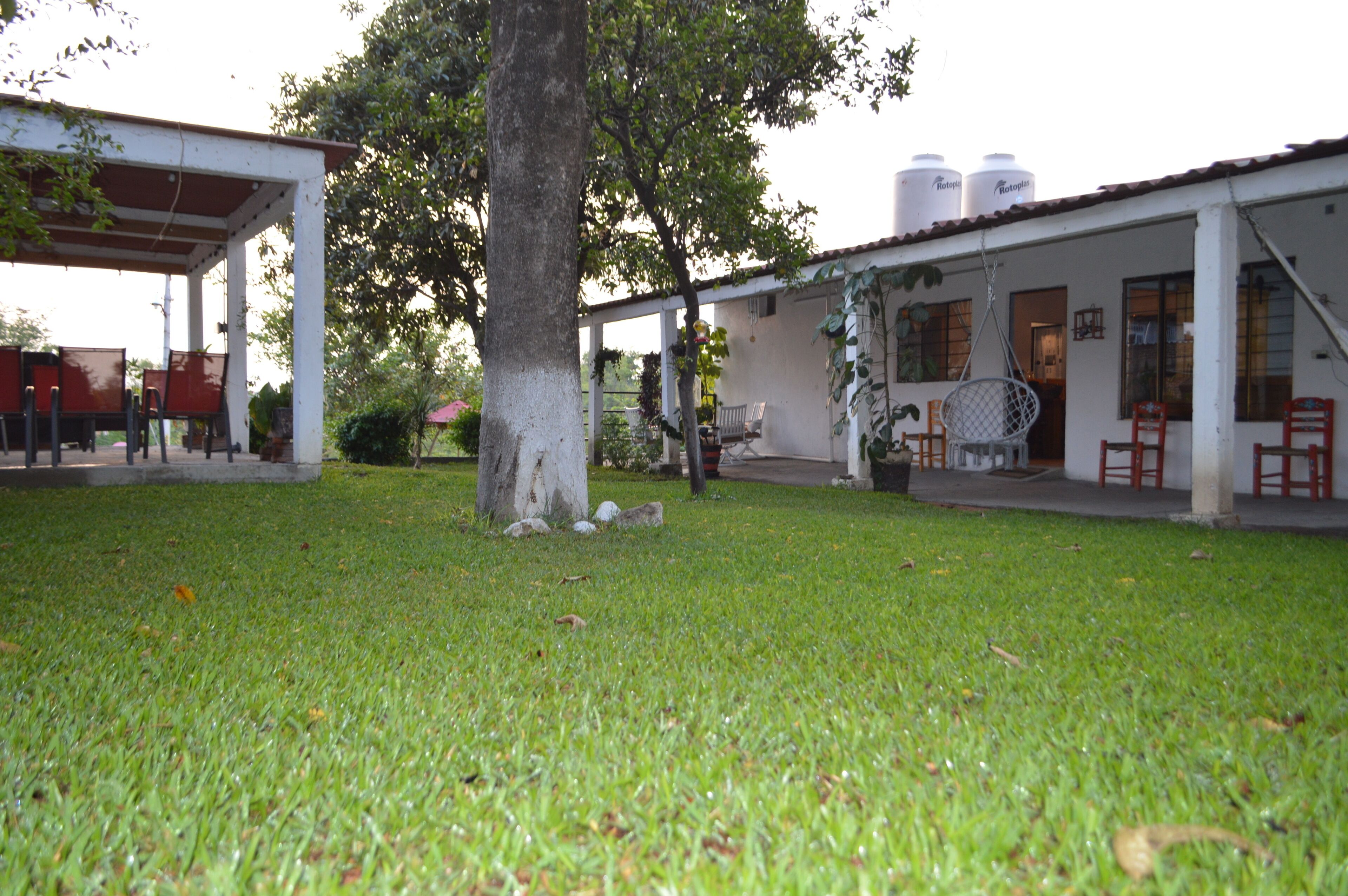 Un edificio con un patio techado, césped y un árbol.