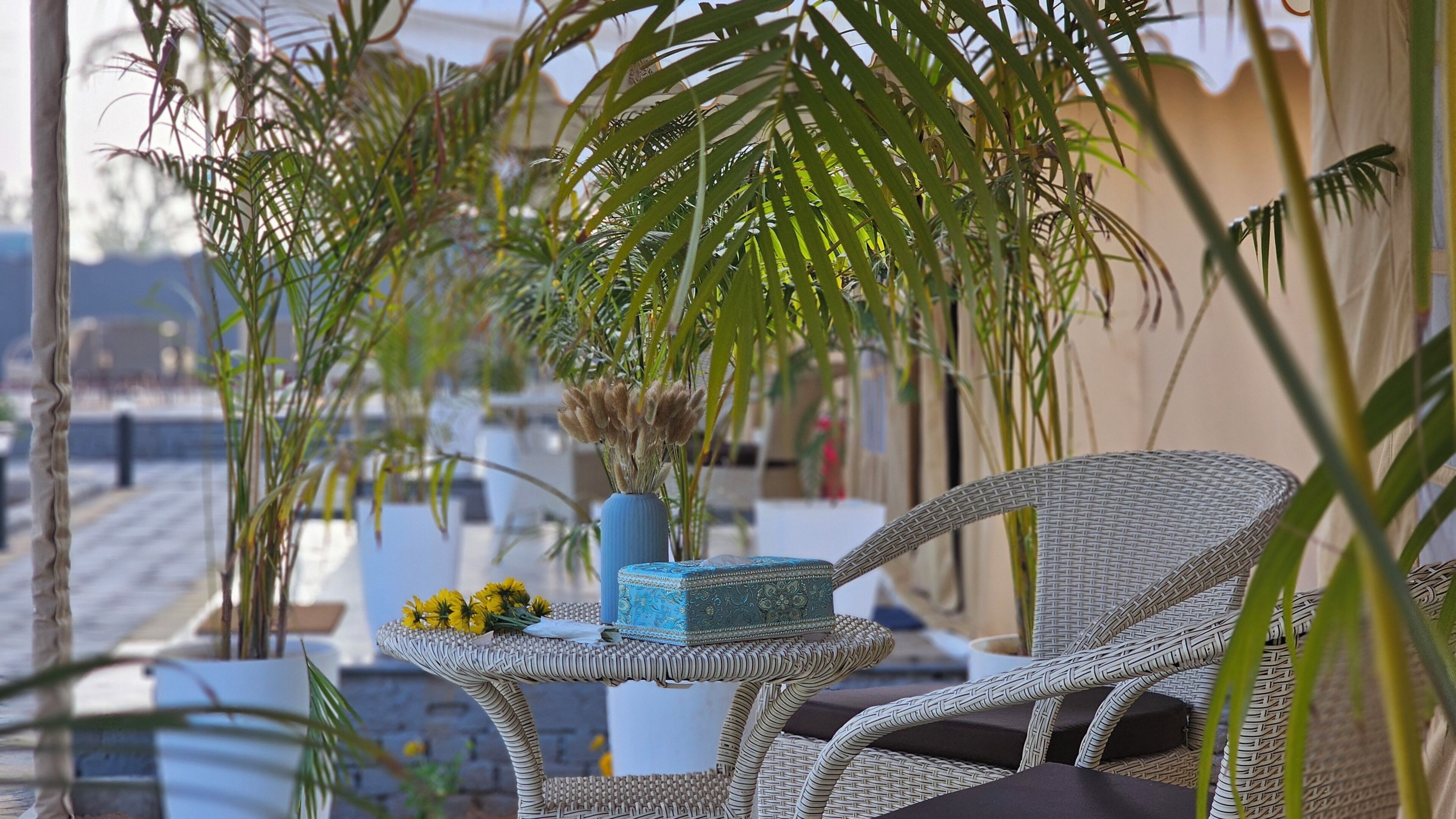 A wicker chair, a small table with a vase and flowers, and tall plants in a balcony setting.