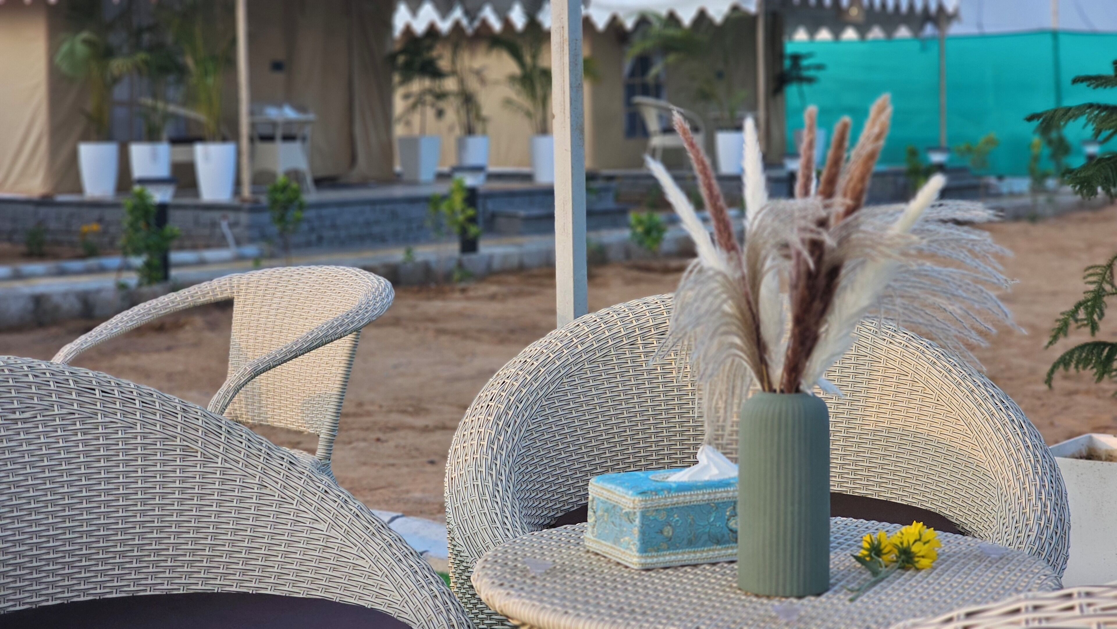 Wicker furniture, a vase with dried plants, and a small blue box on a table.