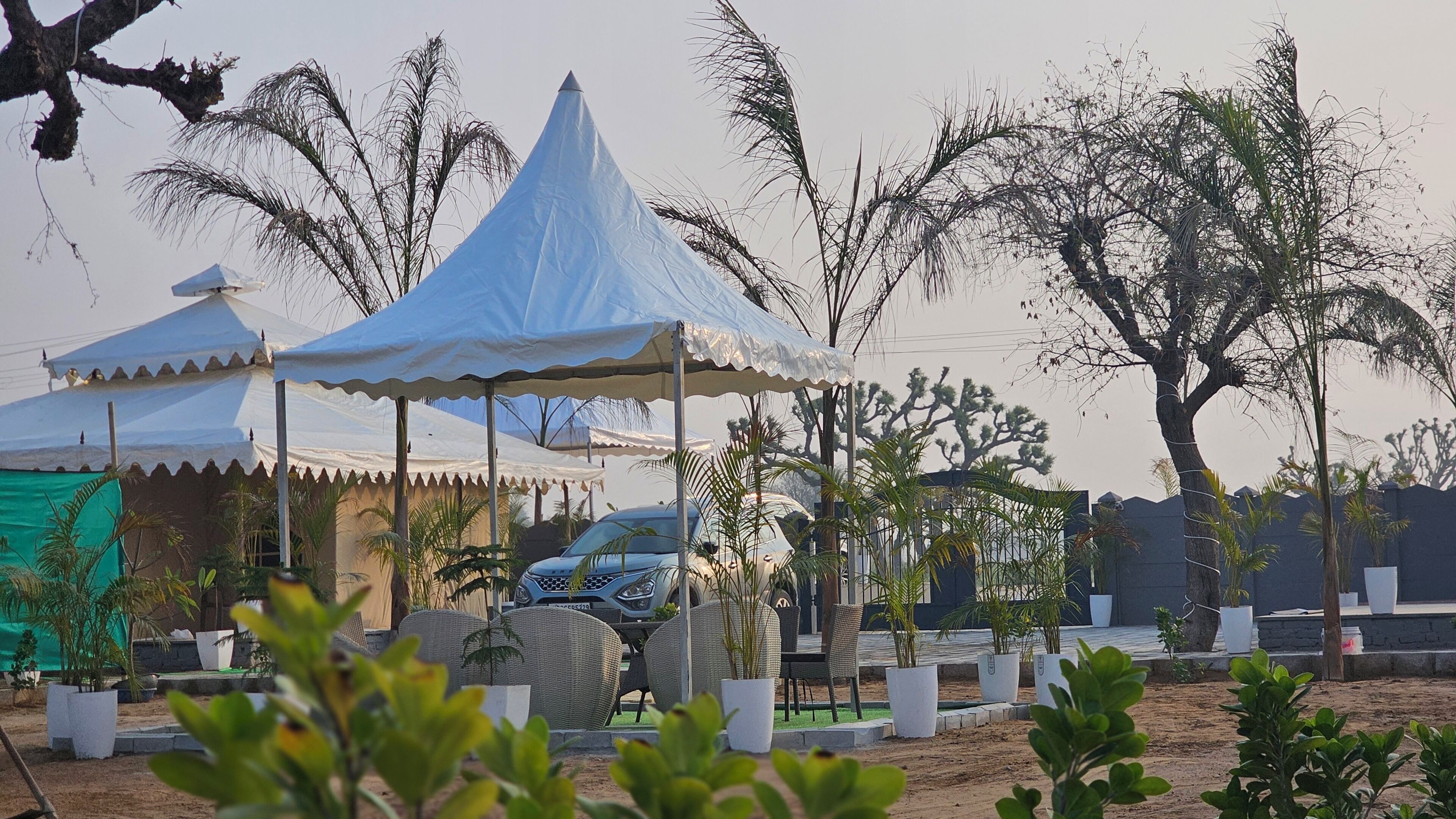 A tented area with outdoor seating, surrounded by potted plants and trees.