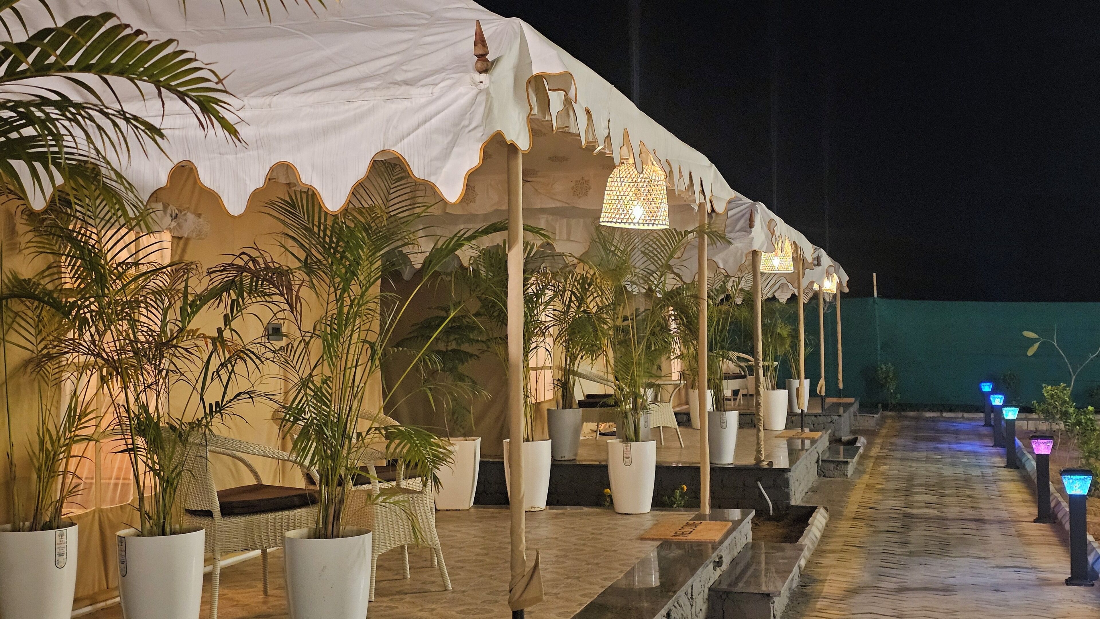 Un espace extérieur abrité, agrémenté de plantes en pot, de sièges et d’un chemin.