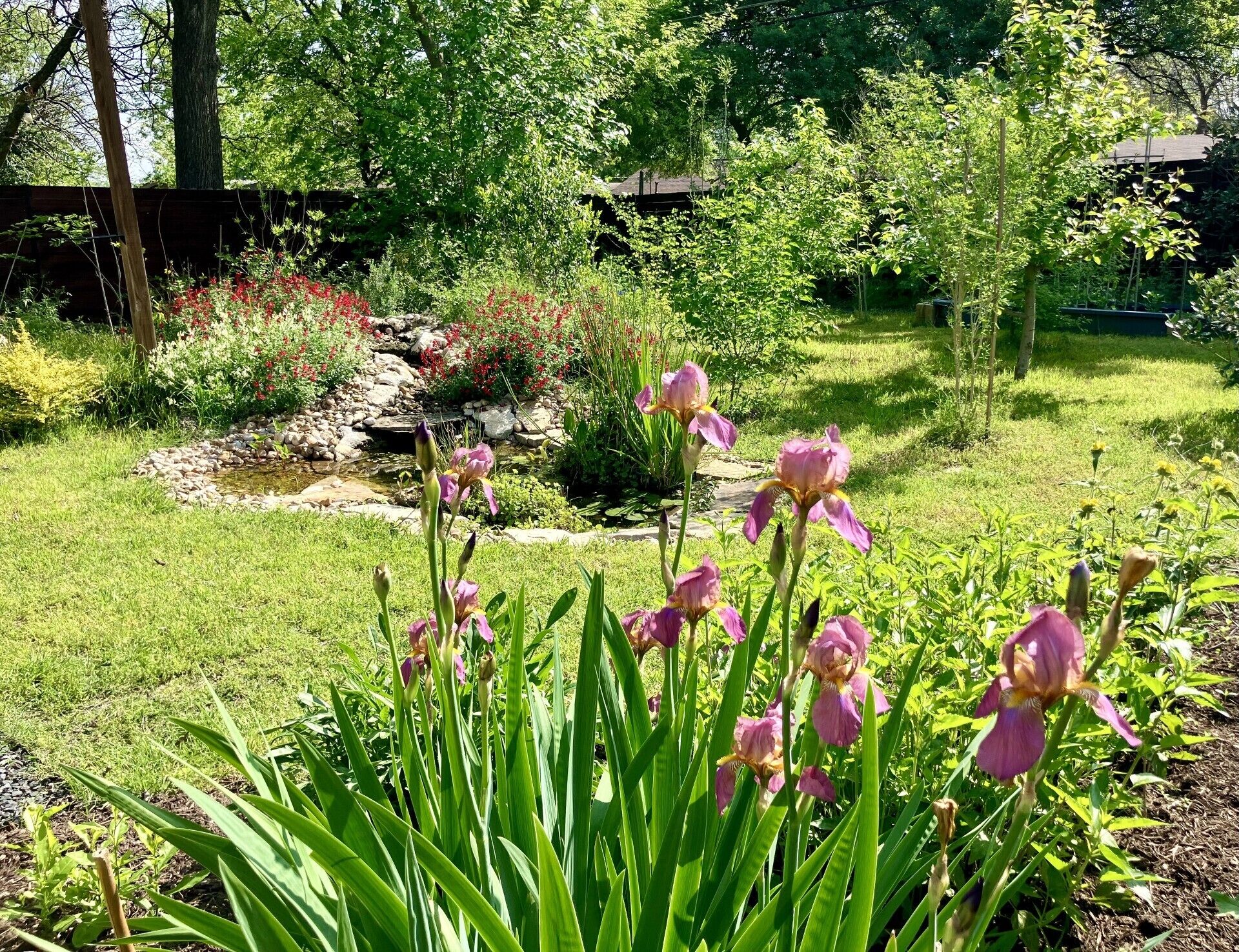 Enceinte de l’hébergement