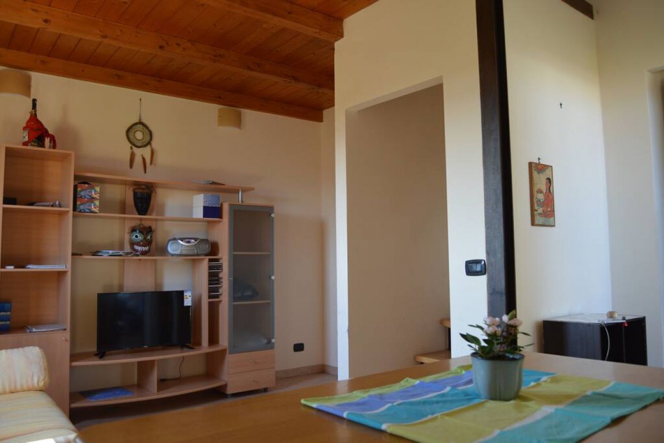A living room with wooden shelves, a television, and a plant on a table.
