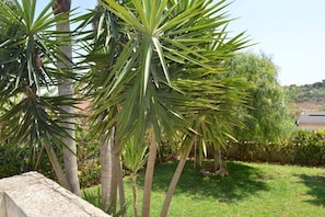 A garden with palm trees and a stone wall. - Vacation Rentals Sicilian Breeze2 (Lido di Noto, Italy)