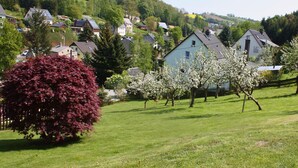 Un barrio residencial con casas, un árbol de hojas rojas y árboles en flor.