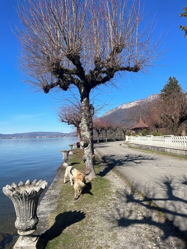 Lake Annecy view chalet in Menthon, 5 mn from lake & village, garage+2 enclosed parking spaces