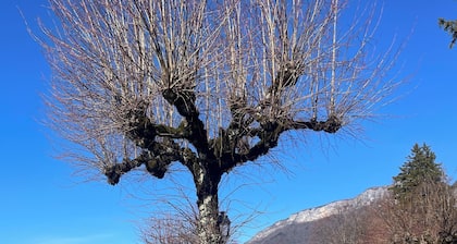 Lake Annecy view chalet in Menthon, 5 mn from lake & village, garage+2 enclosed parking spaces