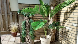 Een potplant met brede groene bladeren in een witte pot, geplaatst op een betegeld terras.