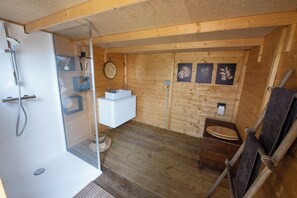 Shower, towels, toilet paper