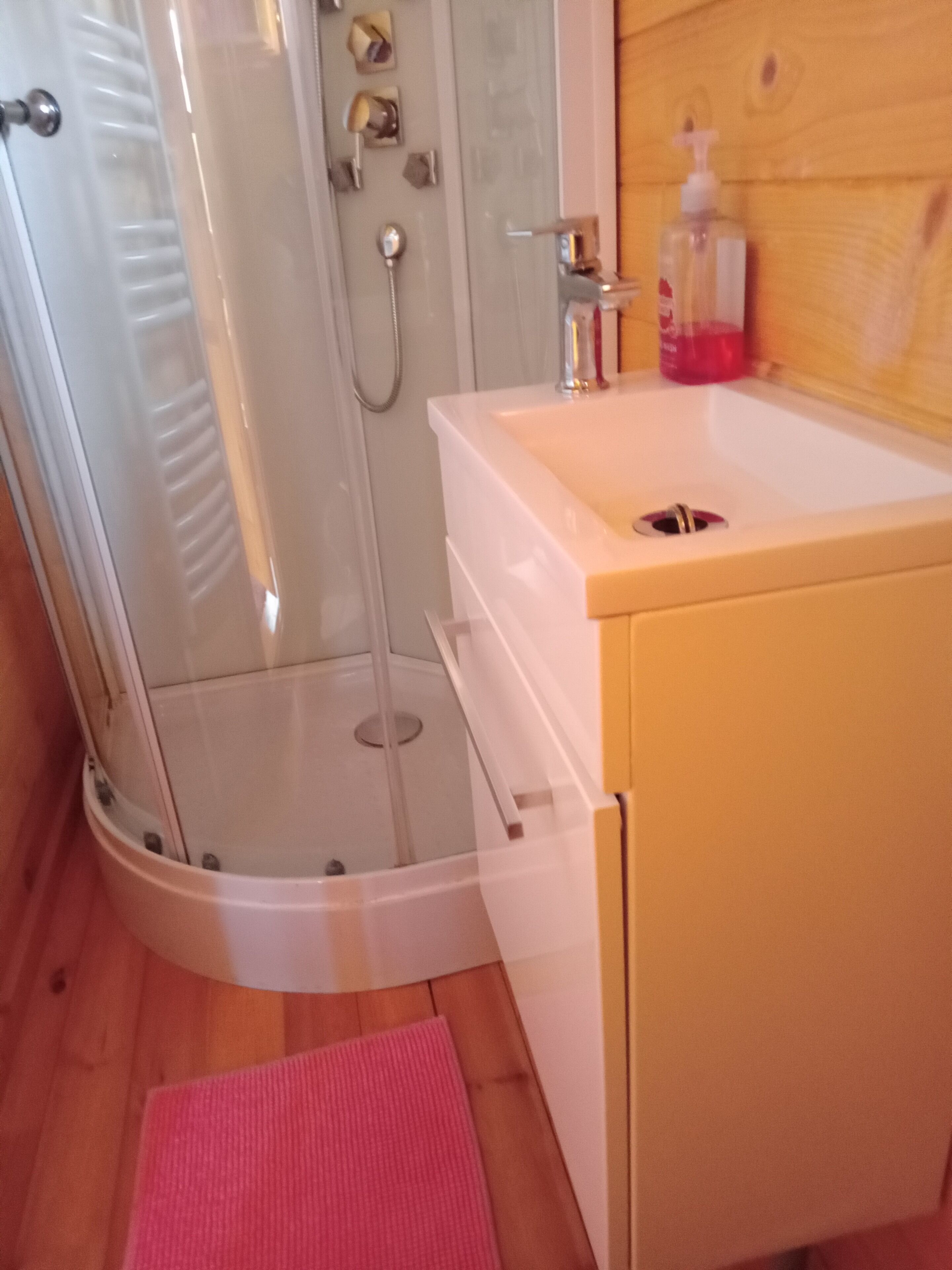 Shower, hair dryer, towels, toilet paper