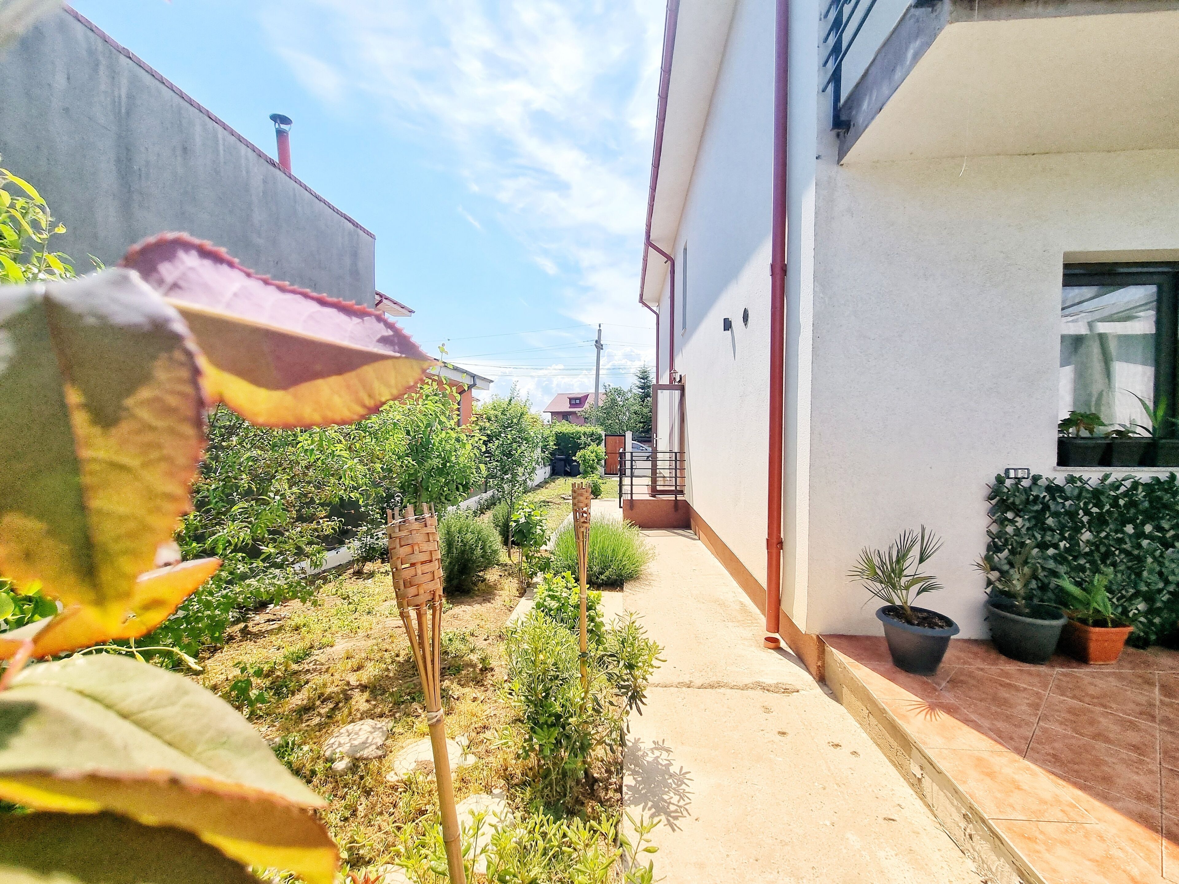 A narrow pathway leading to a building with a white exterior and a red roof. There are potted plants along the pathway and a small garden area with various shrubs and a bamboo structure.