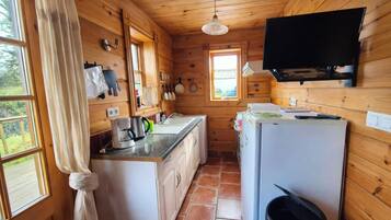 Fridge, microwave, oven, coffee/tea maker