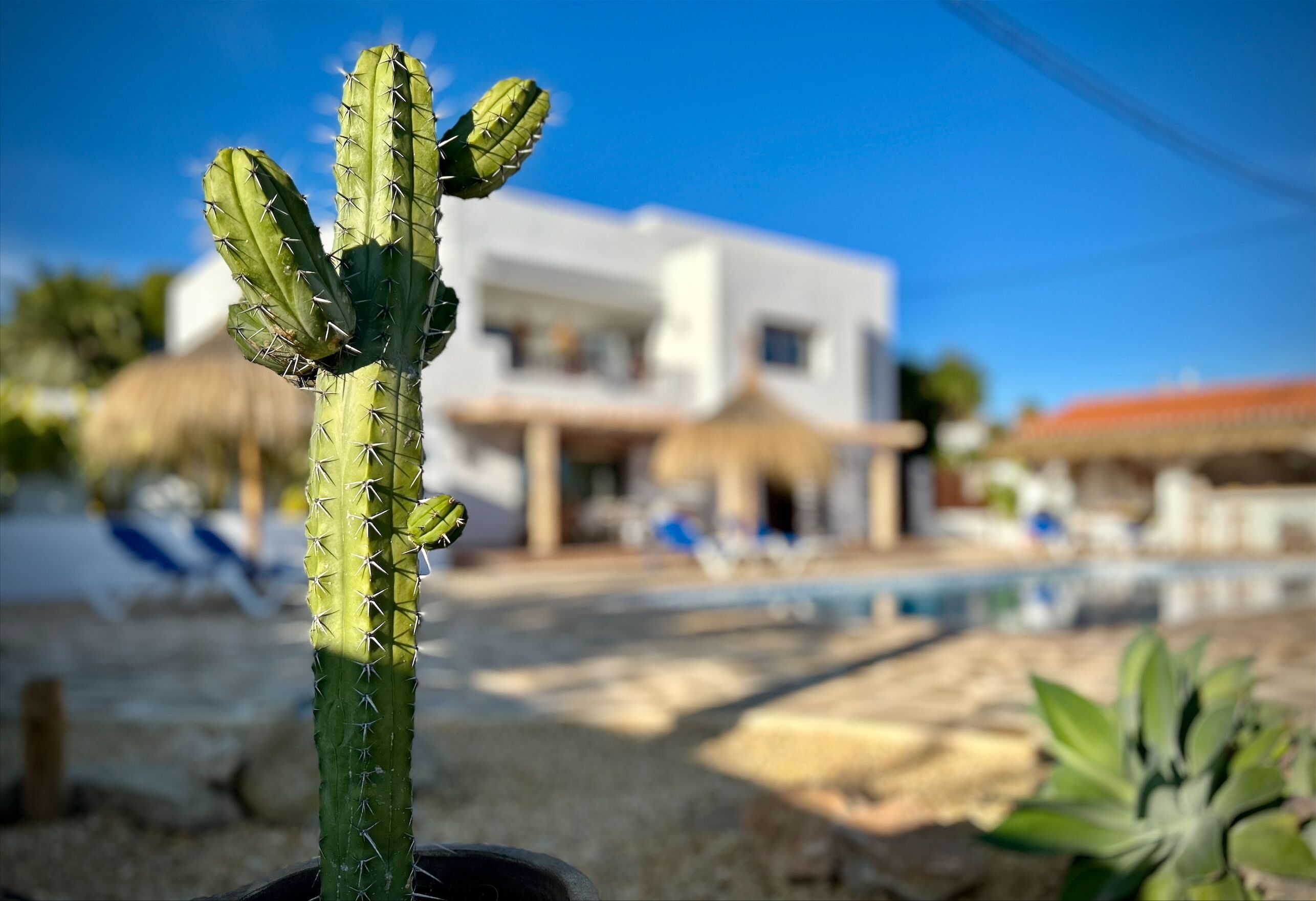 Details aan de buitenkant