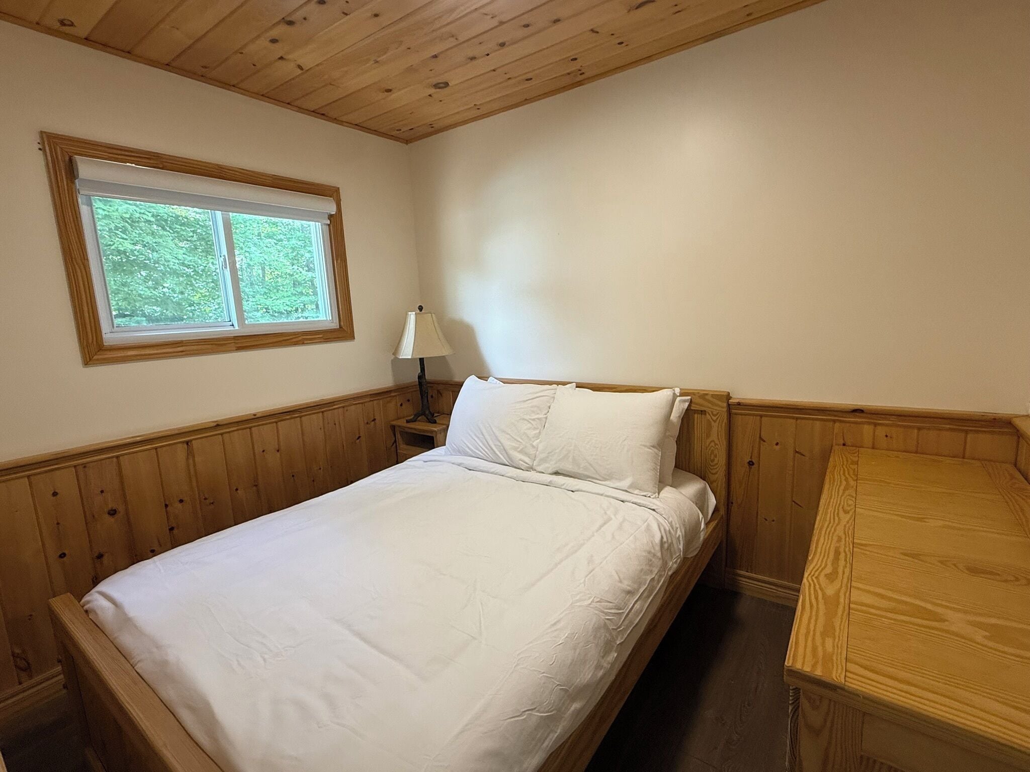A single bed with a wooden headboard, a nightstand with a lamp, and a window with a view of greenery.