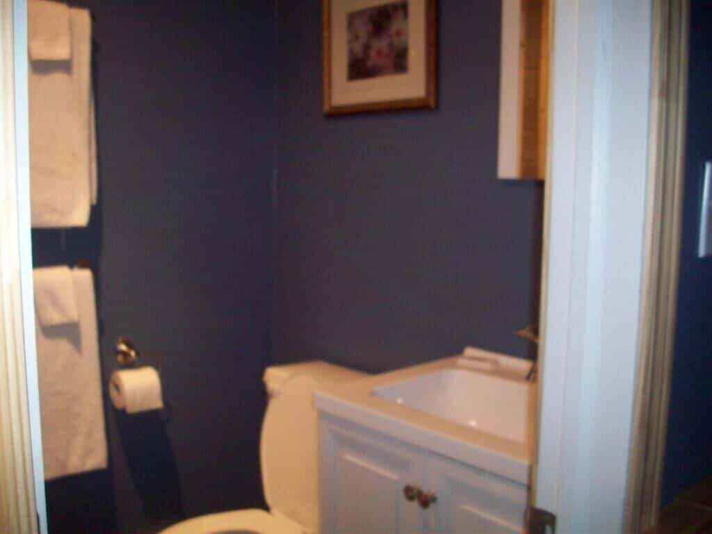 Secador de cabelo, toalhas de banho, sabonete, shampoo